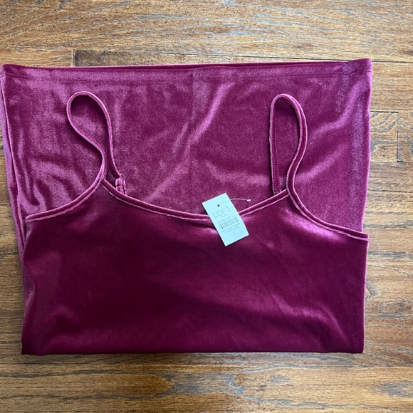 2 (TWO)Ann Taylor Velvet Tanks - Picture 4 of 7
